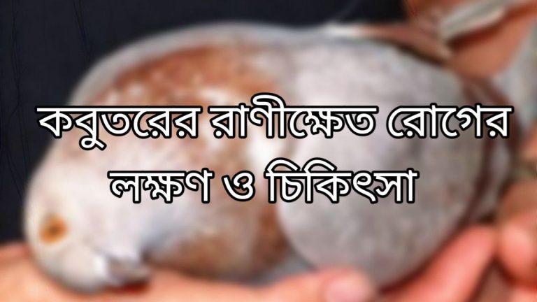 কবুতরের রাণীক্ষেত রোগ